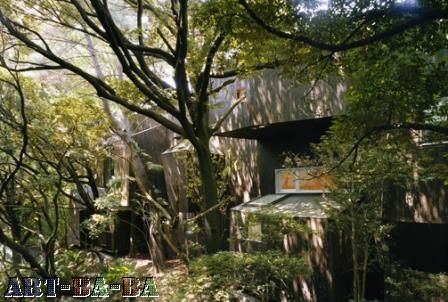 白箱子,泥巴屋和舞蹈着的树木