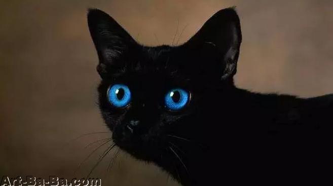 无忧保-深圳环卫工不交社保,退休后咋办